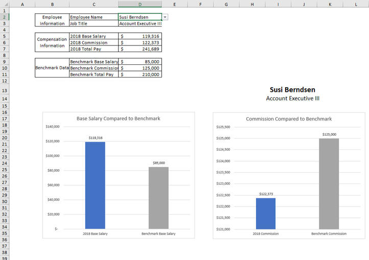 Sample Human Resources Excel Dashboard